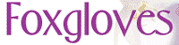 Click here to visit Foxgloves