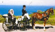 Click here to visit Marriage by Horse and Carriage